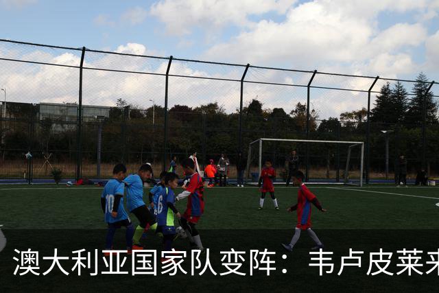 澳大利亚国家队变阵：韦卢皮莱来救场，杜尔和罗伯逊喊疼退赛